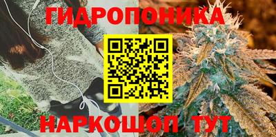 ПСИЛОЦИБИНОВЫЕ ГРИБЫ Ливны
