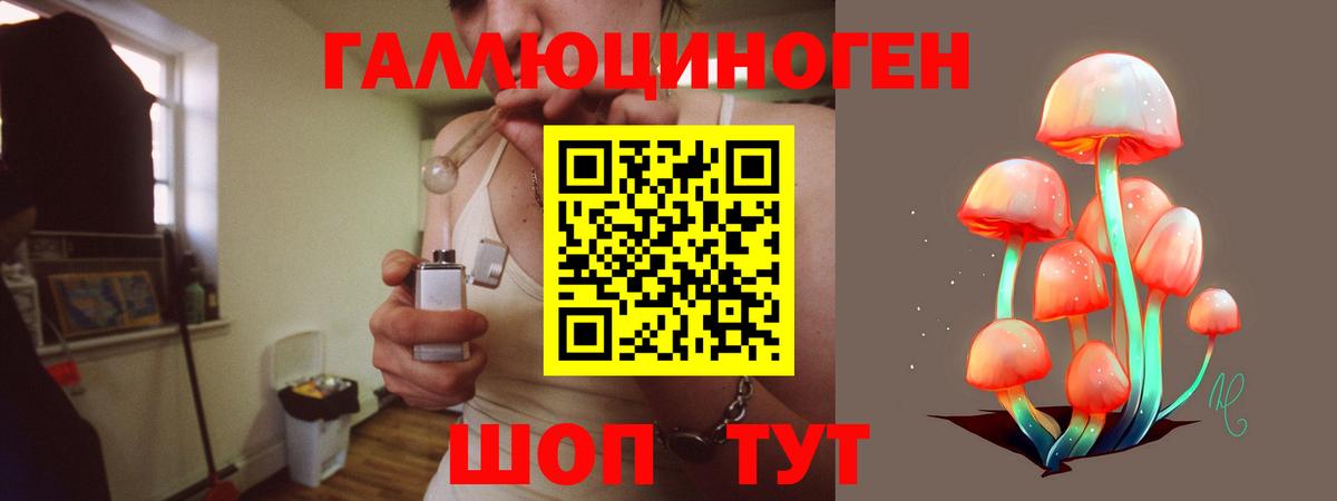 Псилоцибиновые грибы Psilocybe  Вход с VPN  Галлюциногенные грибы мухоморы  Владивосток 